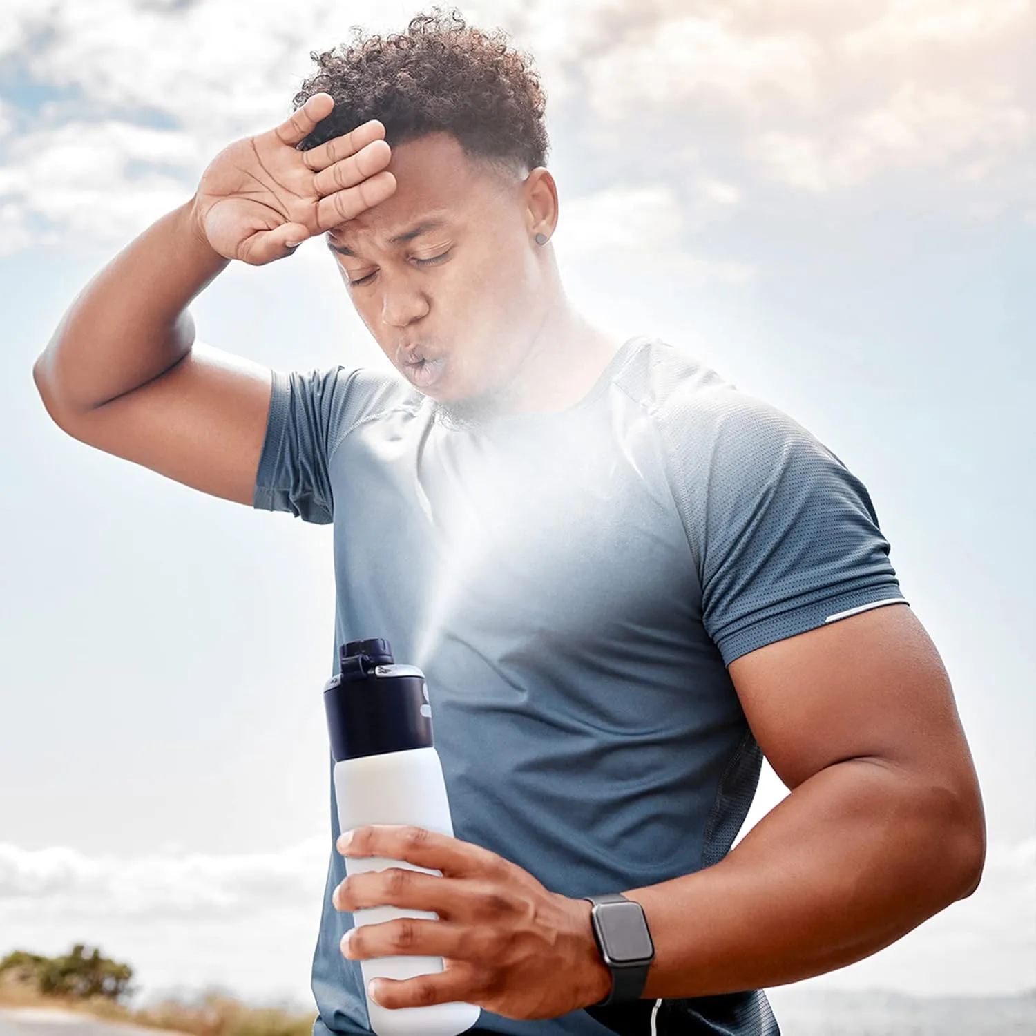 GoMist Misting & Drinking Bottle | Rechargeable Mist & Sip Water Bottle | Quick Charge USB-C Port | 2-Speed Mist Function | Stainless-Steel Double Wall Insulation (Desert Flower)