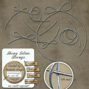 Shiny Silver Strings