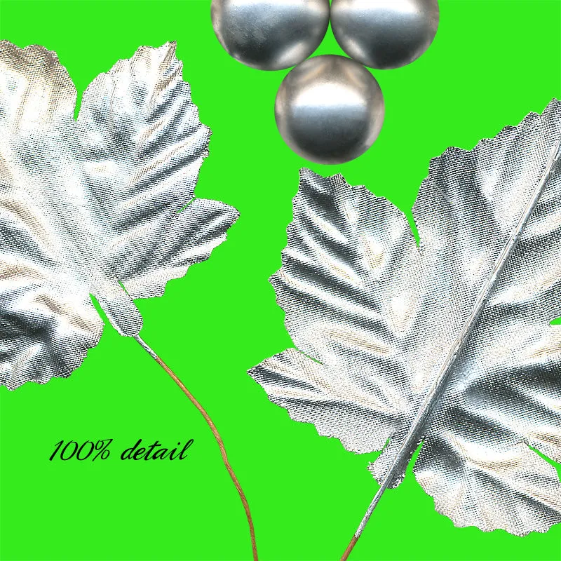Silver Berries