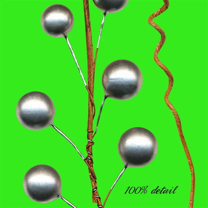 Silver Berries