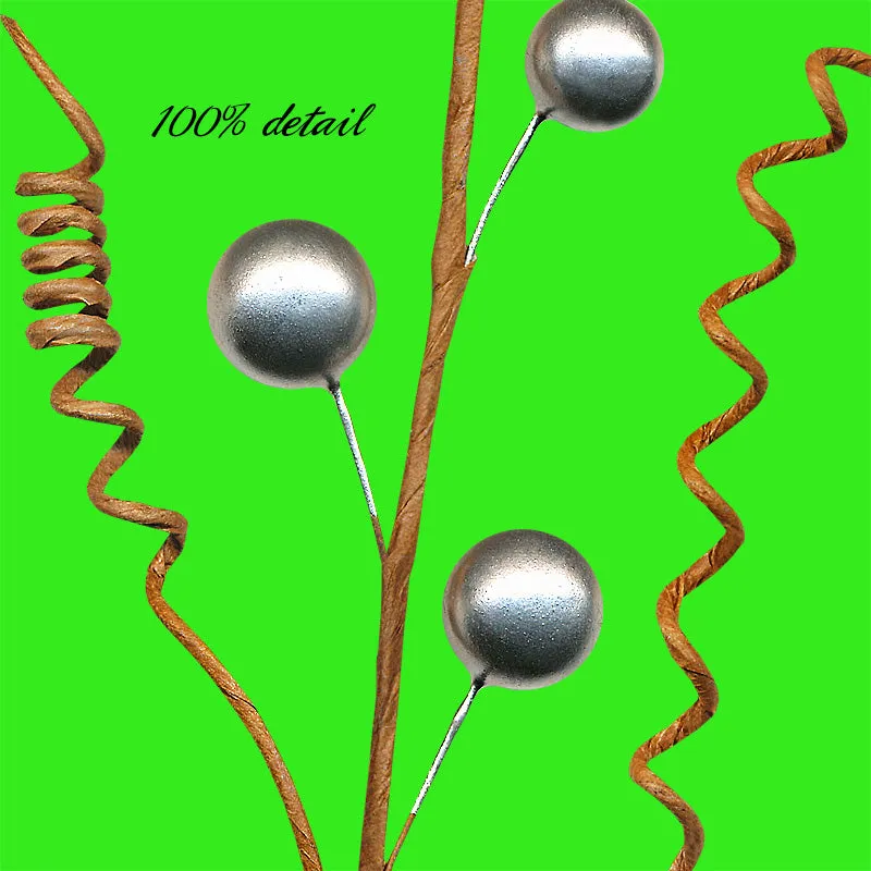 Silver Berries